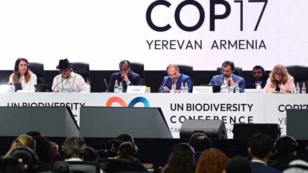 Nations commit to get nature goals back on track at COP17 summit