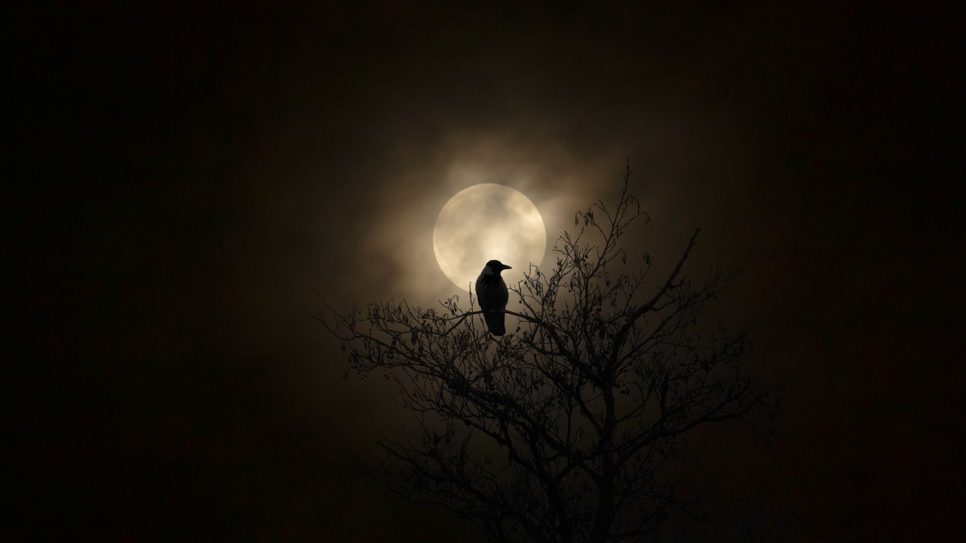 Halloween night sky 2026 — Saturn, shooting stars and a space station await US stargazers