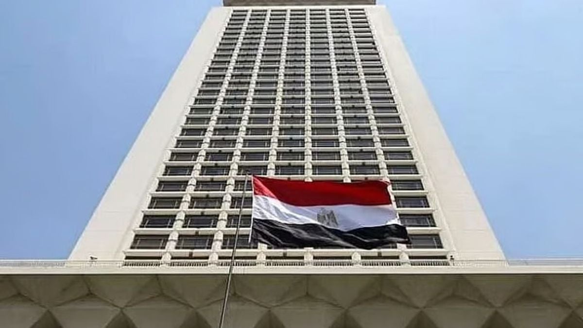 Egypt condemns Israeli airstrikes on Abu al-Duhur military airport in Syria