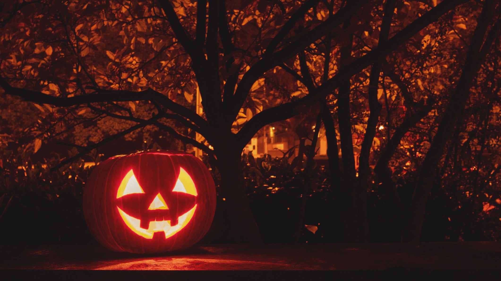 Why Halloween Isn’t Just for Kids