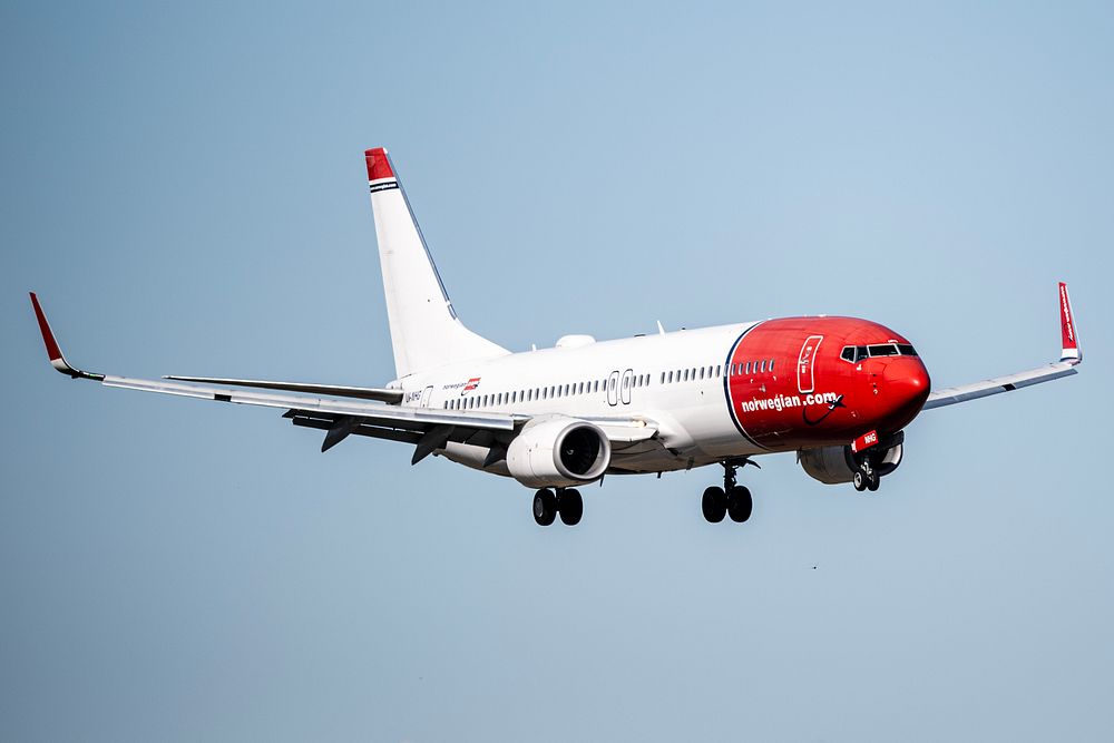 «Storeulv» hamstrer: – Motpol til tank og olje