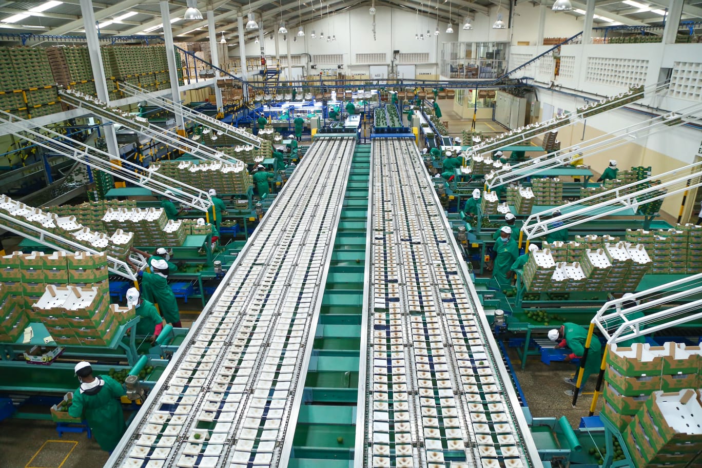Kakuzi workers secure 15pc wage increase under new CBA