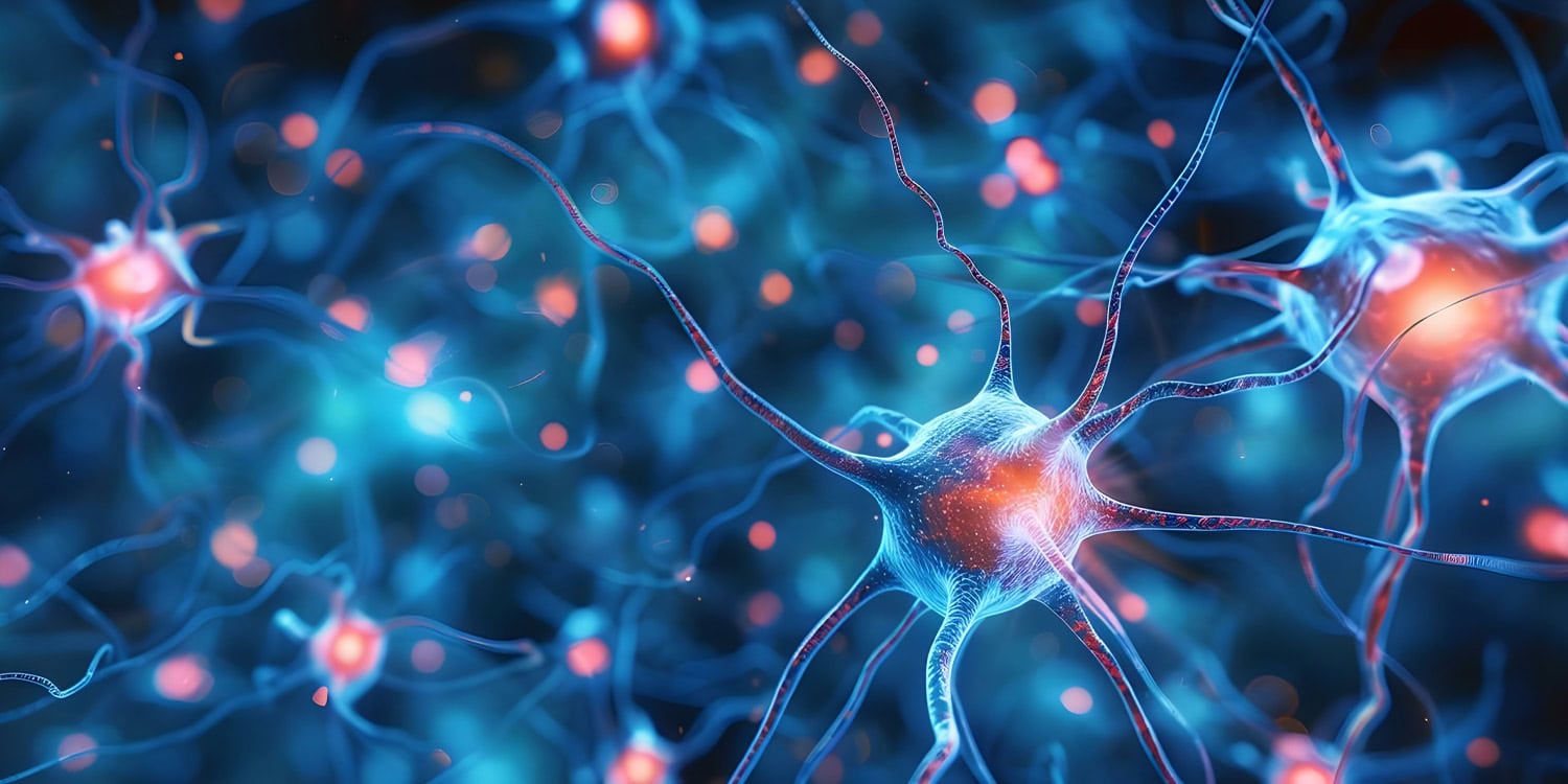 Miniature brain models reveal varied electrical activity in different types of autism