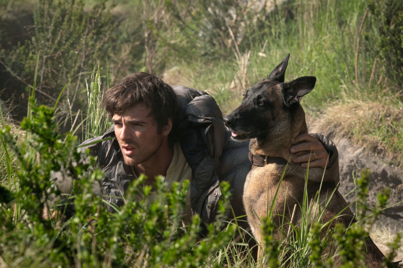 How I wrote The Dog Stars, the novel behind Ridley Scott’s new film