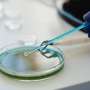 Decision support guidelines safely reduce unnecessary testing for very sick children, study finds