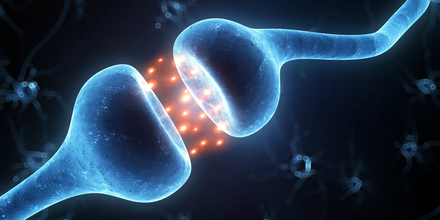 Brain’s cannabinoid system links persistent anxiety to stronger alcohol reward learning