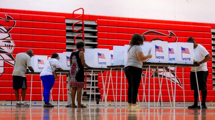 Michigan says 'technical issue' slowed voting