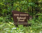 Trump administration to rescind rule protecting old growth forests