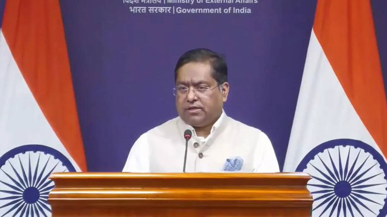 'Orchestrated spectacles': MEA rejects Pak's 'Youm-e-Istehsal' on Article 370