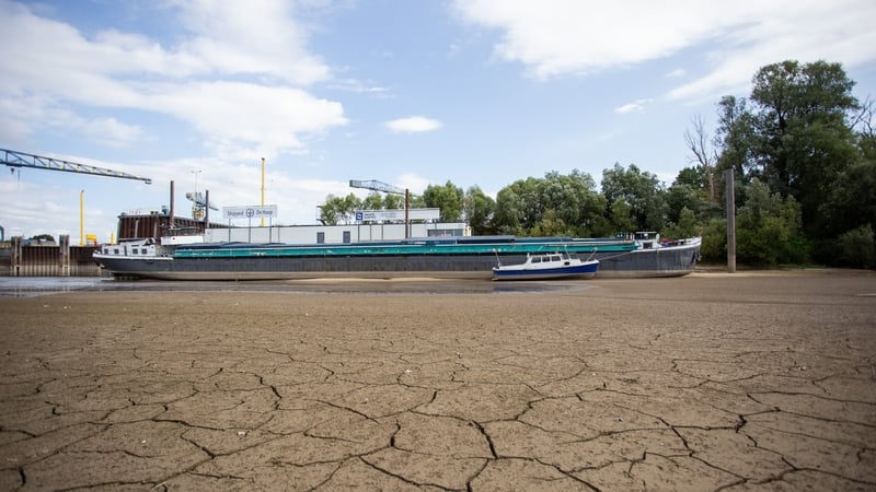 Wildfires, low levels on rivers as Europe feels the heat