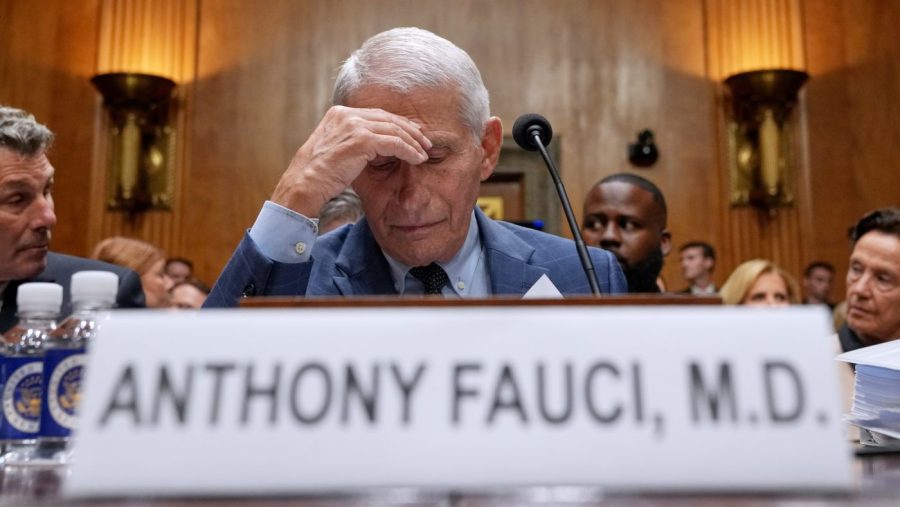 What is contempt of Congress?