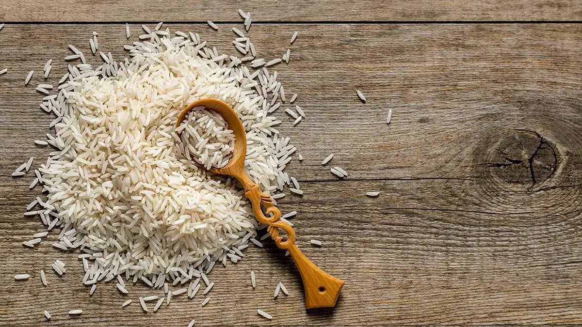 India’s rice procurement up 5% in 2025-26, as Govt buys 18% higher from rabi crop