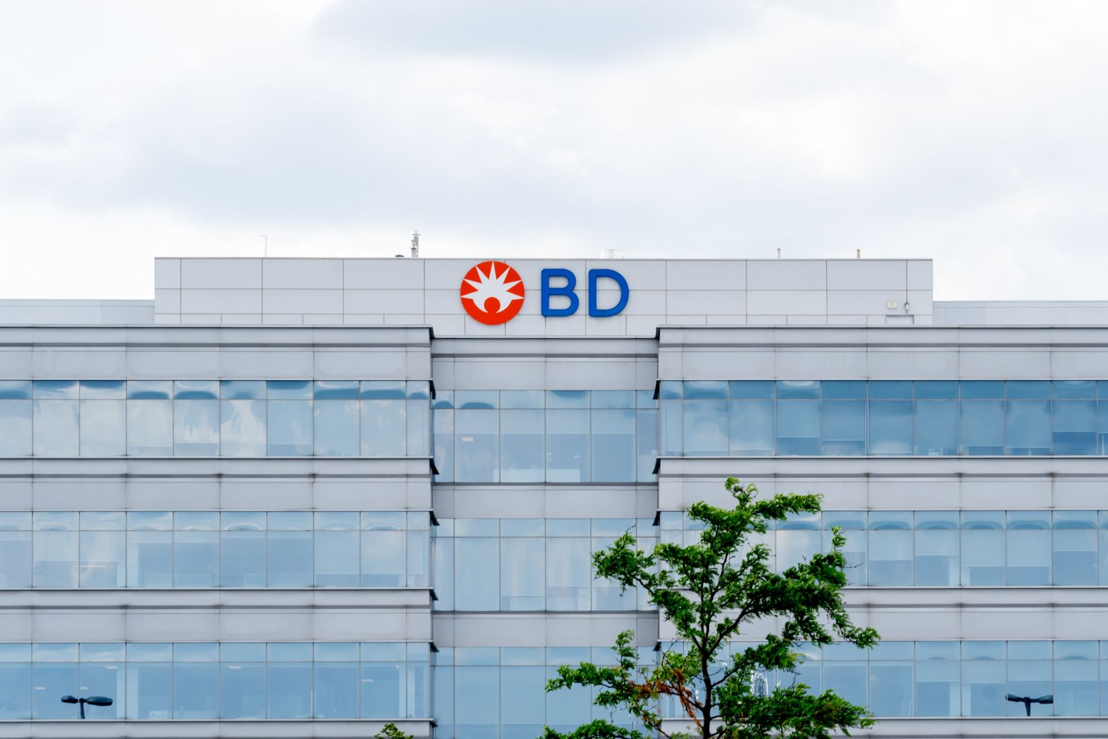 Are Wall Street Analysts Predicting Becton, Dickinson and Company Stock Will Climb or Sink?