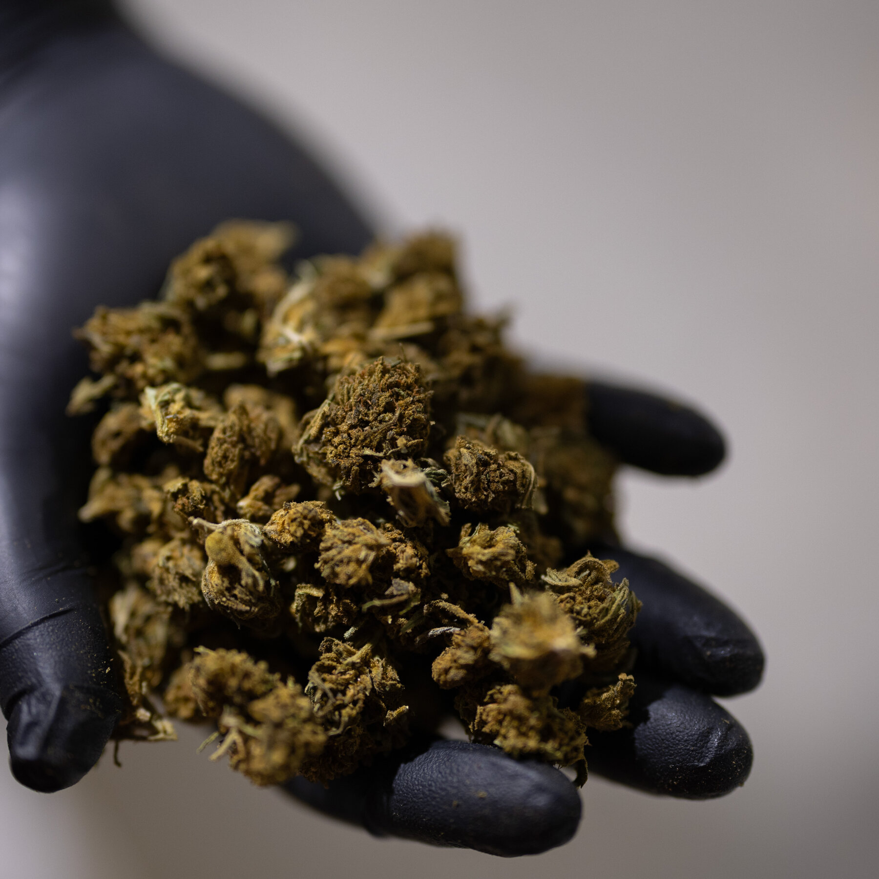 Trump Seeks a Boost for Hemp That Would Benefit a Top Aide’s Family