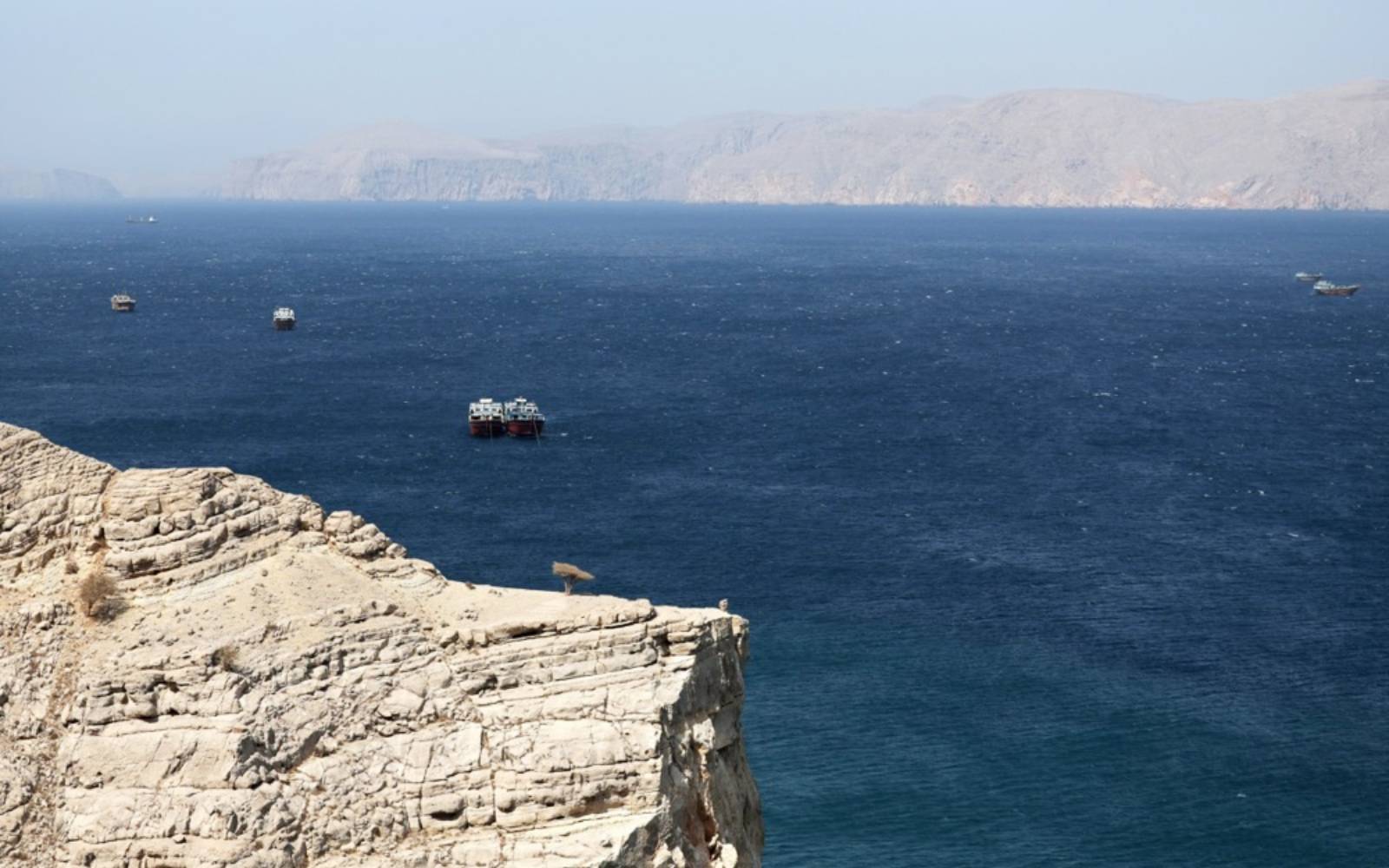 Iran, Oman agree route for ships transiting Strait of Hormuz