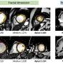 MRI and genetic data find no independent risk from hypertrabeculation
