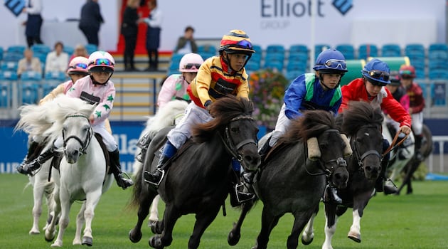 ‘This is our Olympics’: Dublin Horse Show kicks off