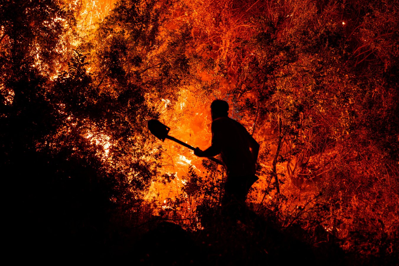 We must adapt to climate change while also tackling the root cause