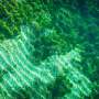 Two origins of life: Free-living cells may have emerged twice as bacteria and archaea diverged