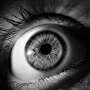 How humans process the extraordinary—most report positive long-term effects