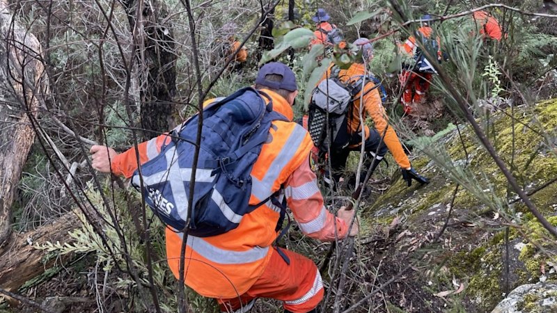 Army joins search for missing Sydney bushwalker, 18