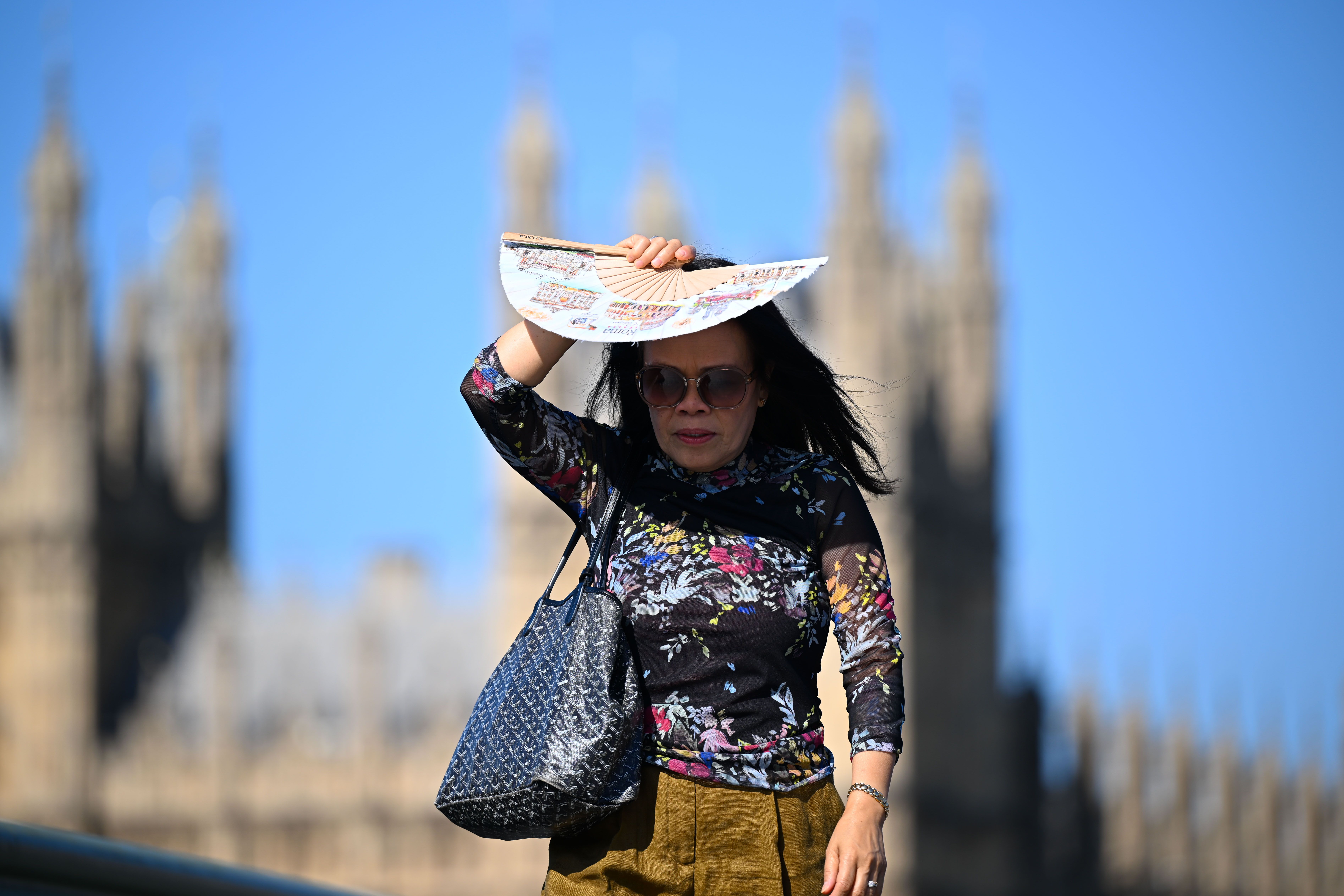 What’s Behind the Heat Wave Scorching Huge Parts of the World