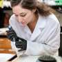 Engineered human neurons rebuild damaged spinal cord circuits