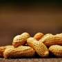 How 'good' bacteria from fecal transplants reduce peanut allergy