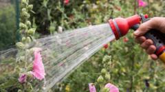 Hosepipe bans in force as drought declared - is your area affected?