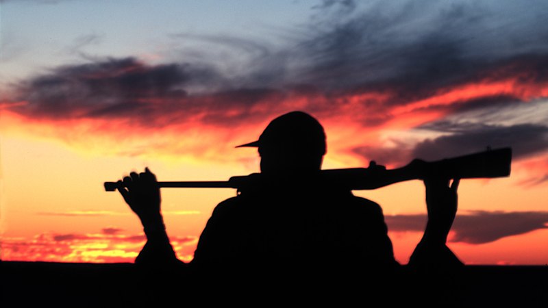 Why gun debate has triggered a surprising and fiery political battle in NSW