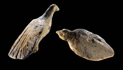 Archaeologists Discover Two Thumbnail-Size Bird Sculptures Carved From Mammoth Ivory 40,000 Years Ago
