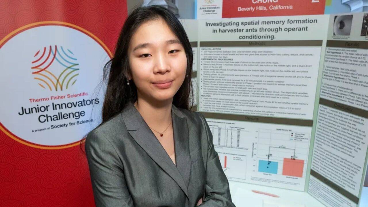 Meet Seungah Chung, who used 200 ants to reveal how they navigate