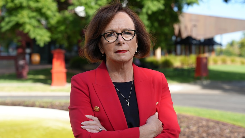 Live: Labor's gambling ad laws an 'absolute fail', says shadow minister
