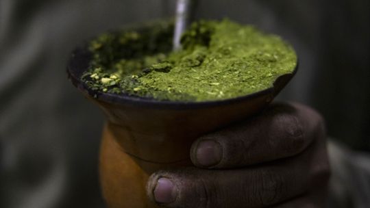 Behind yerba mate craze, Argentine farmers bemoan Milei’s austerity