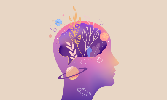What a Blissful Psychedelic Trip Looks Like Inside the Brain