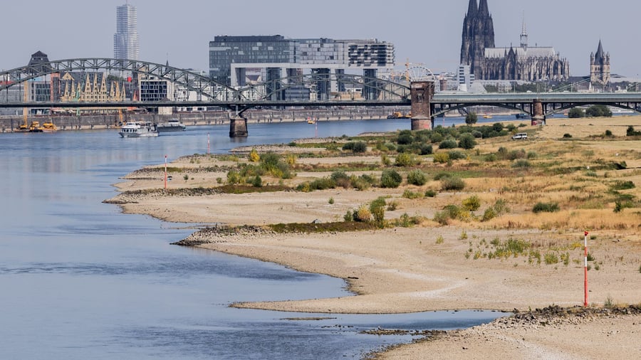 Shipping in times of crisis: How low water levels are affecting the economy