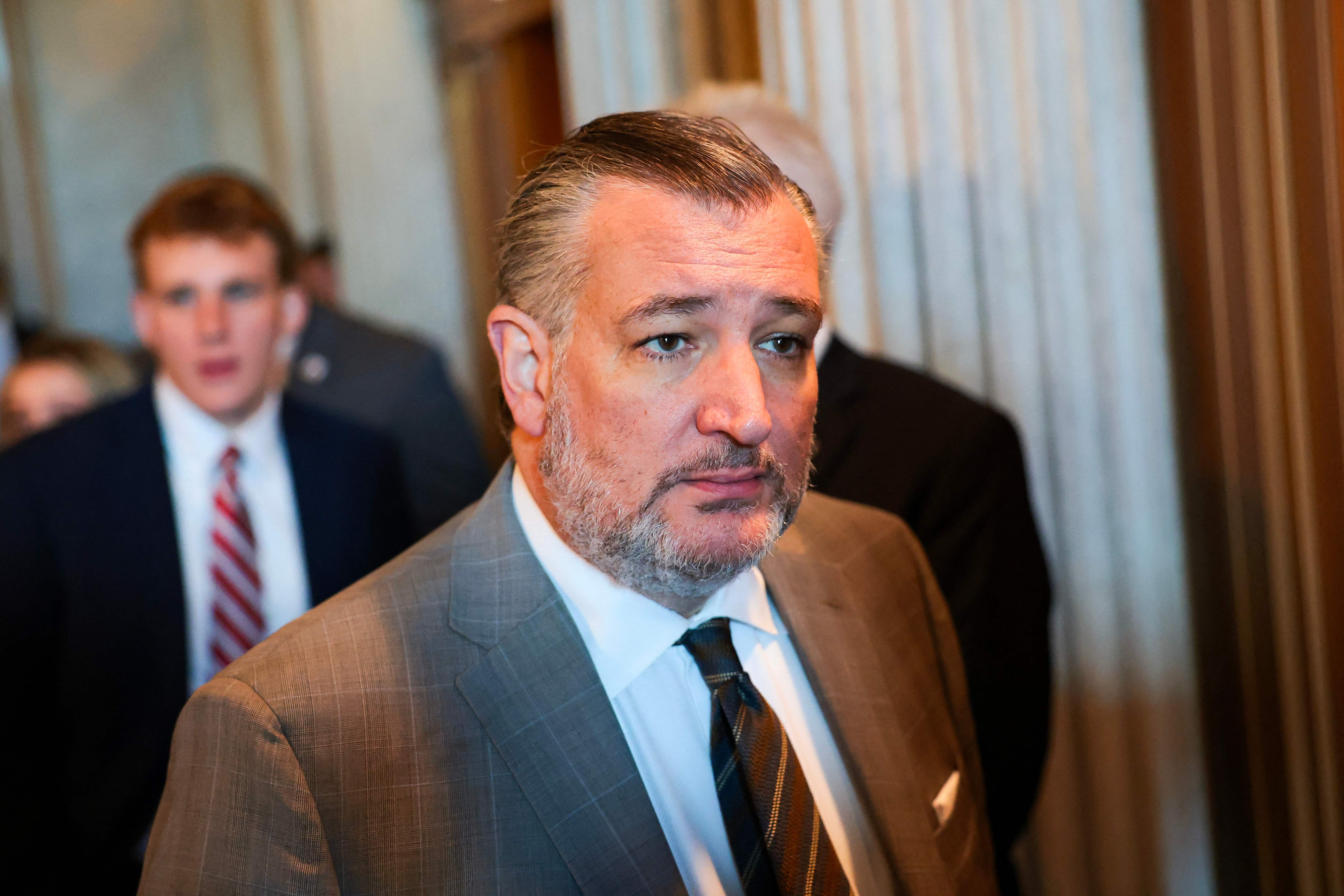 US senator urges action on Muslim Brotherhood influence operations