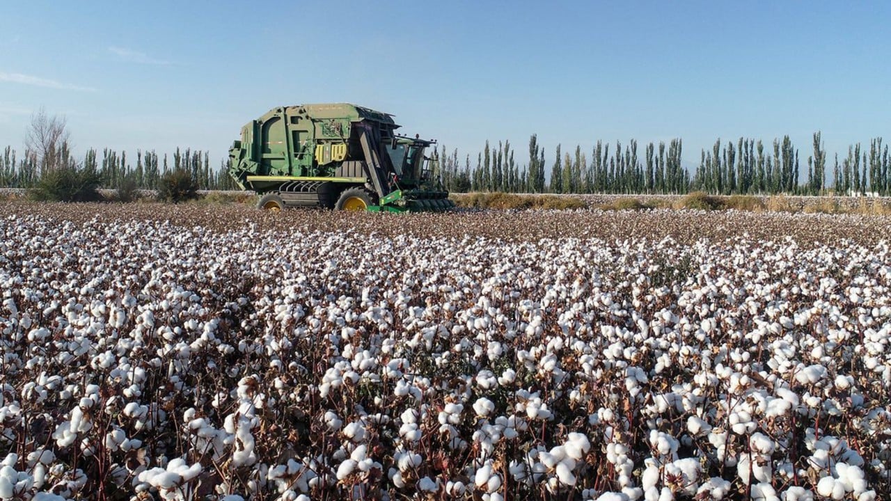 China hits back at US forced labour blacklist as ‘classic act of coercion’