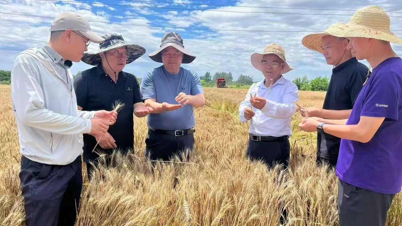 China is making a great leap forward in food production – this time for real