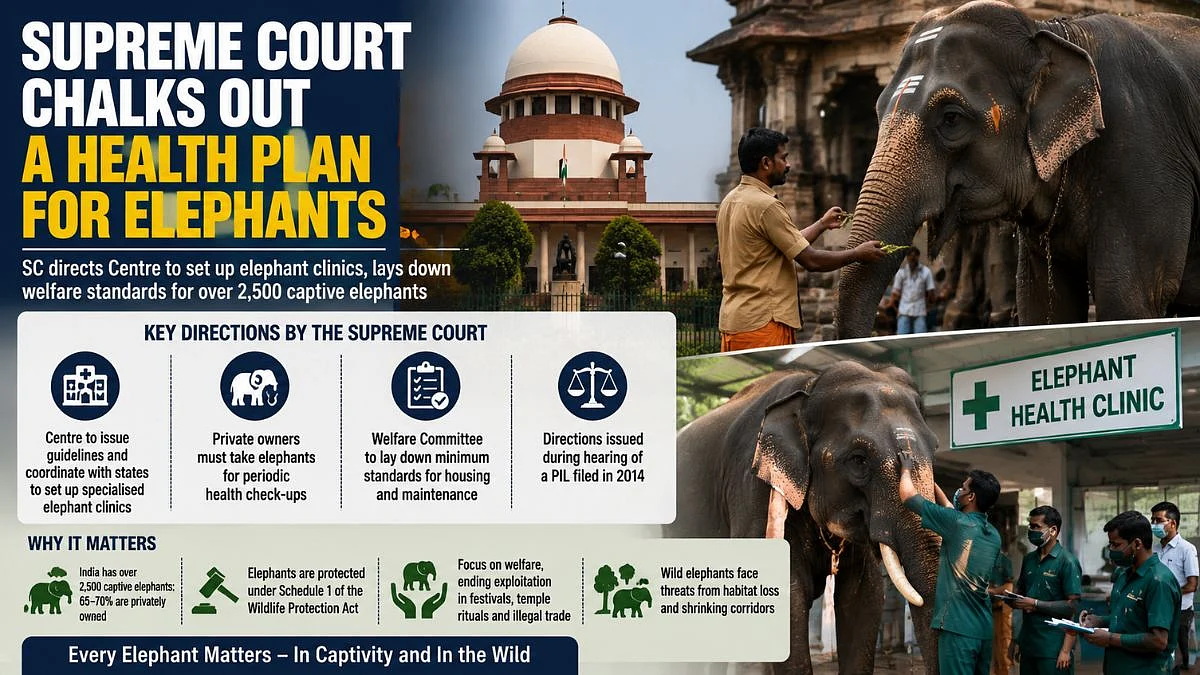 Supreme Court Chalks Out A Health Plan For Elephants