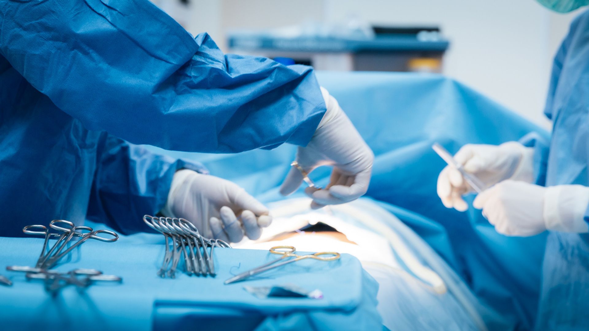 Group 'tried to retrieve organs from donors who were still alive'