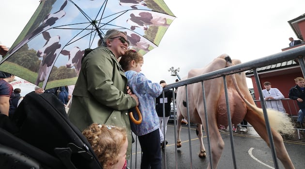 Farmers cast grateful glance to the skies as rain falls at Virginia Show