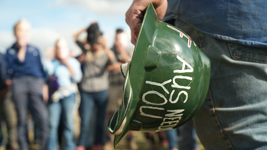 Coalition's power line pledge could win back farmer votes