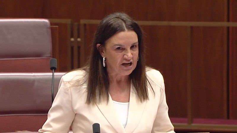 Jacqui Lambie's outburst over veteran health