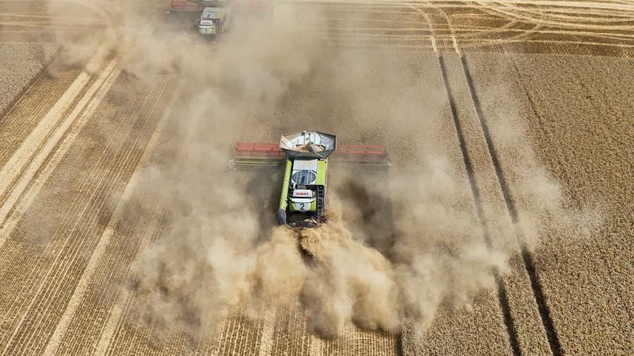 Consequences of the drought: Concern about the harvest: Drought and heat hit Europe's farmers