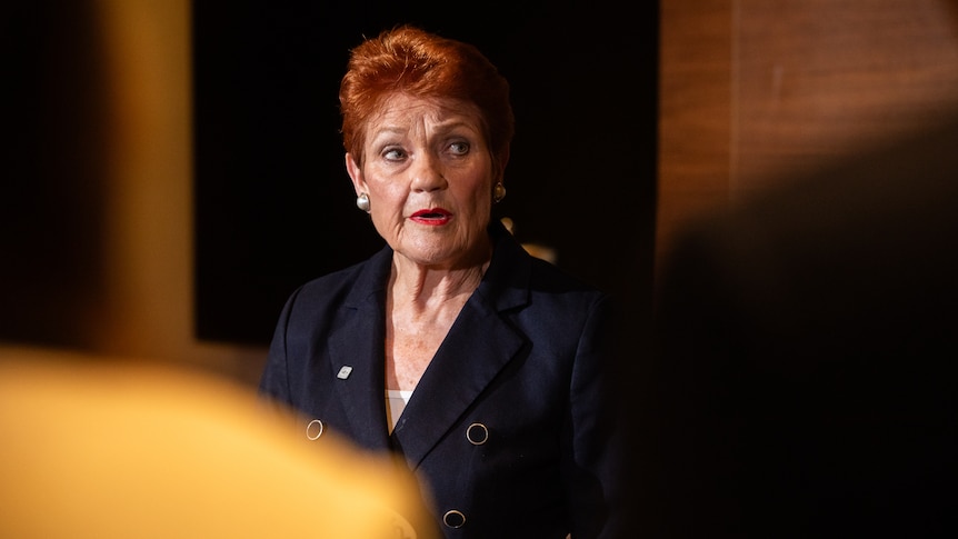 Pauline Hanson does 'not care' if immigration cuts impact businesses