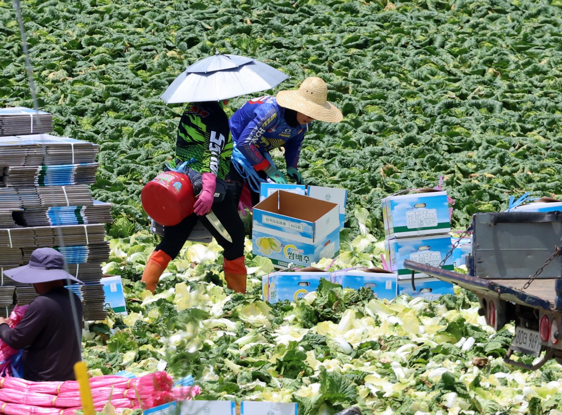 Foreign workers should be granted reemployment in case of employer mistake: watchdog