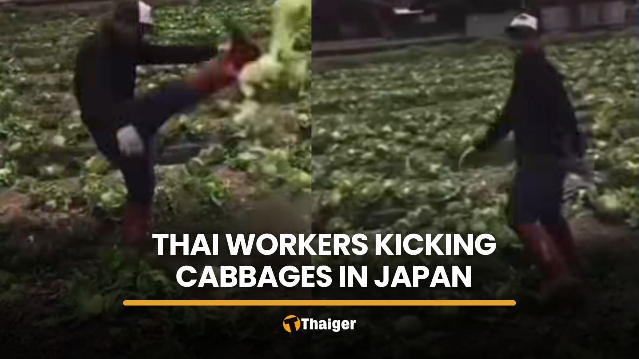 Thai workers filmed kicking cabbages stir debate in Japan