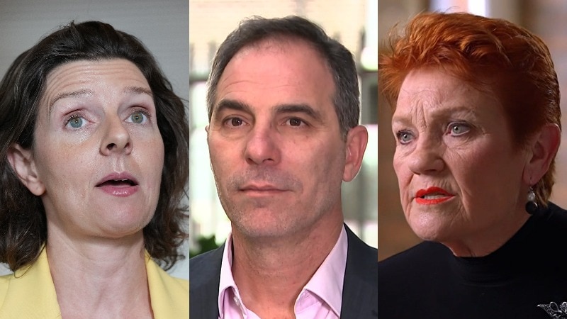 Woman facing 62 charges allegedly sent death threats to senior politicians