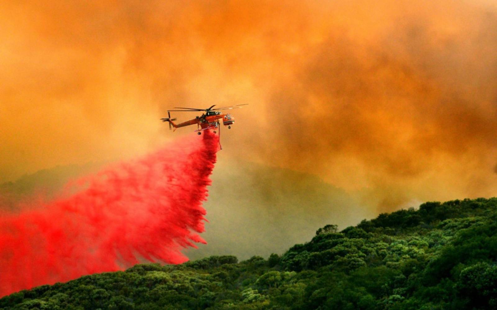 Study shows climate change made Canadian wildfires twice as likely